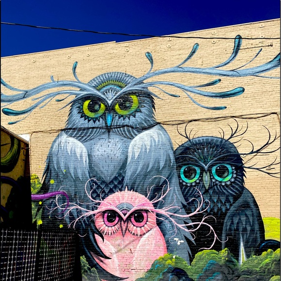 Meet your Posher, Magda - Picture 1 of 1